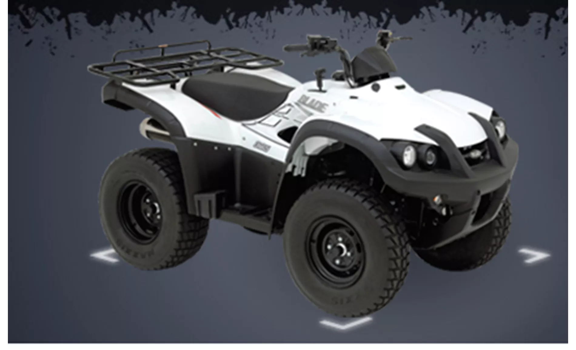 TGB Blade 325 4x2 2010 TGB Blade 325 4x2 2010