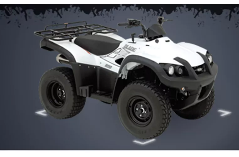 TGB Blade 325 4x2 2010 TGB Blade 325 4x2 2010