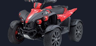 TGB Gunner 550 2010 vs TGB Blade 550 LOF 2021