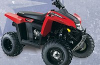 Polaris Scrambler 500 2x4 2010 - Bild 1