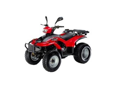 E-Ton Yukon 150 2010 E-Ton Yukon 150 2010