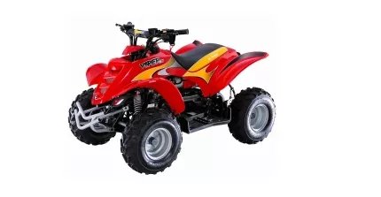 E-Ton Viper 70 E-Ton Viper 70