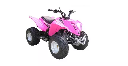 E-Ton Viper 90R E-Ton Viper 90R