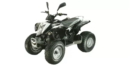 E-Ton Viper ST 150 E-Ton Viper ST 150