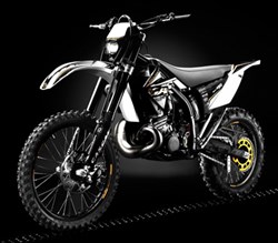 GASGAS EC 300 2010