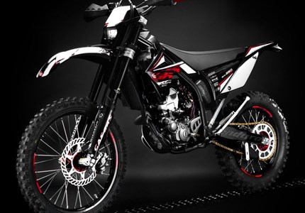 GASGAS EC 250 F Racing 2010