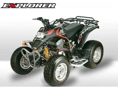 Explorer Stinger 250 2010