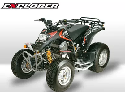 Explorer Stinger 250 2010 Explorer Stinger 250 2010