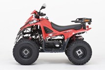 Dinli 50 Special 2011 - Bild 2