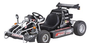 Kreidler F-Kart 170 2010 vs Kreidler F-Kart 170 2011