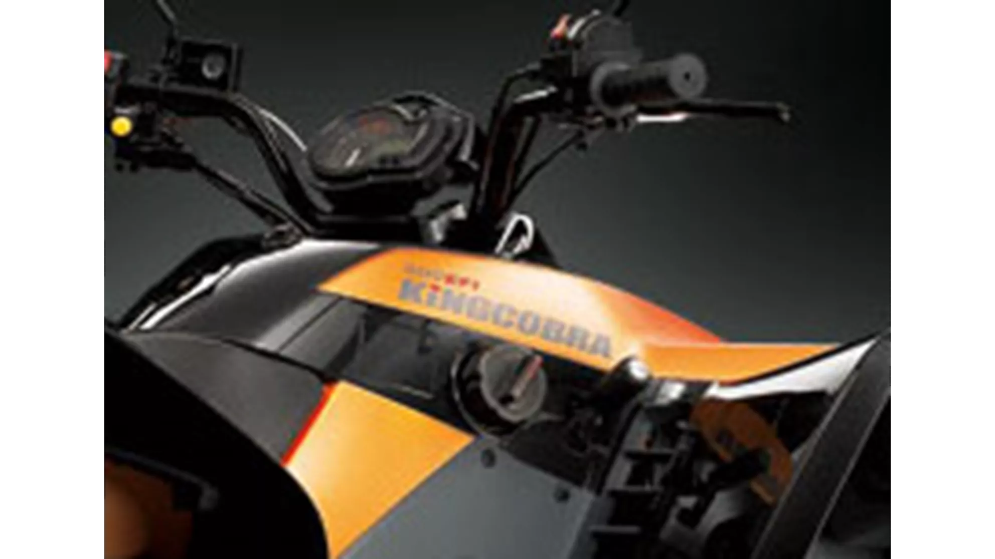 Cectek King Cobra 500EFI - Image 4 Cectek King Cobra 500EFI - Image 4