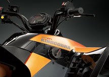 Cectek King Cobra 500EFI 2011 - Bild 6