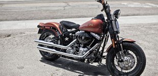 Harley-Davidson Softail Cross Bones FLSTSB 2011 vs Kawasaki Z900 2020