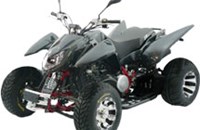 Triton Carbon 450 2011 - Bild 2