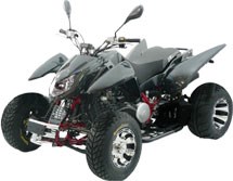 Triton Carbon 450 2011 - Bild 2