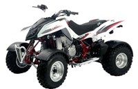 Triton Reactor 450 LOF 2011 - Bild 1