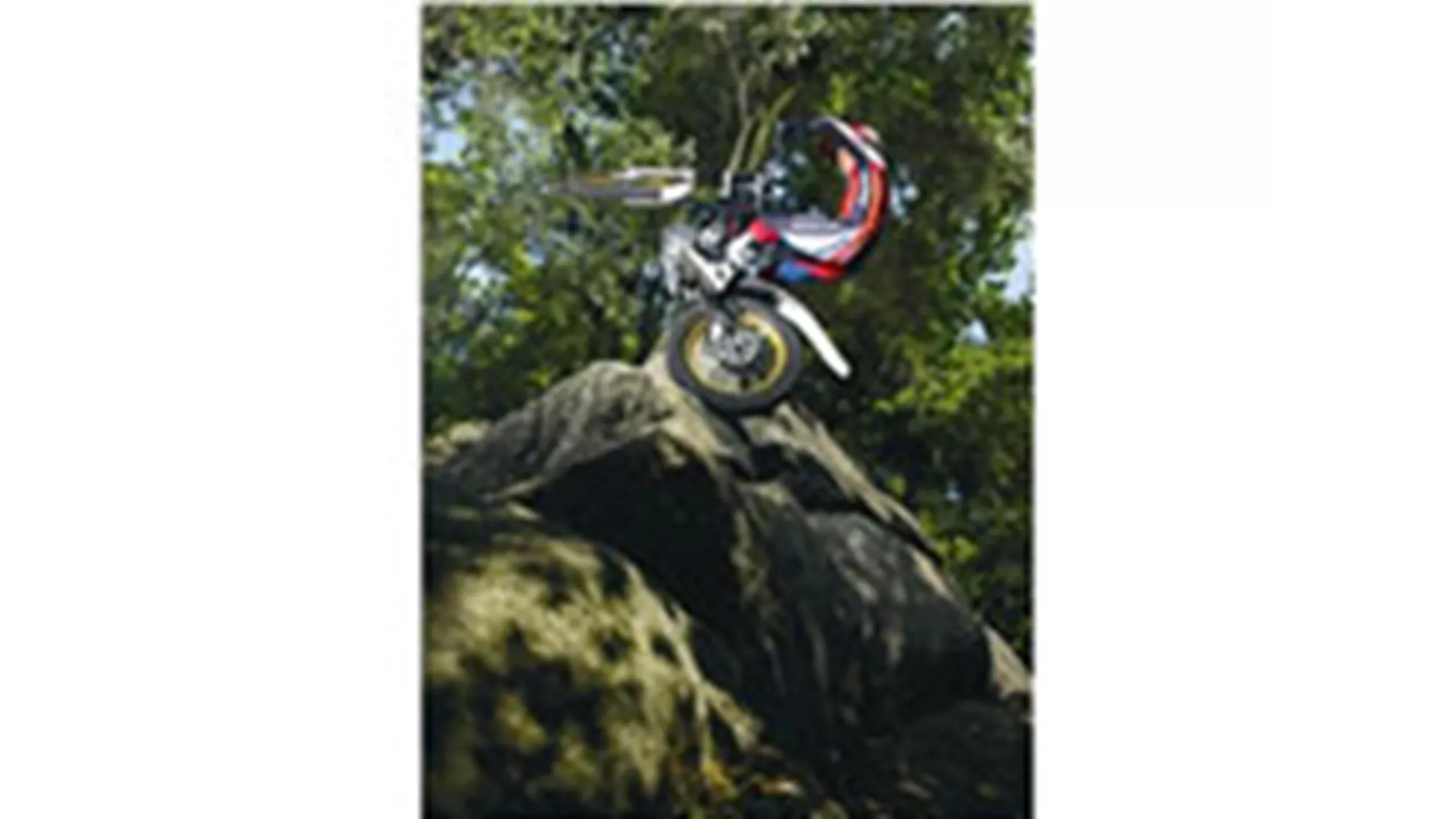 Honda Montesa COTA 4RT - Image 1 Honda Montesa COTA 4RT - Image 1