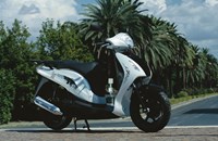 Honda PS125i 2011 - Bild 12 Honda PS125i 2011 - Bild 12