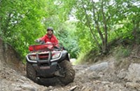 Honda TRX 500 FE Foreman 2011 - Bild 5