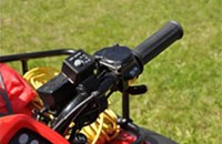 Honda TRX 500 FE Foreman 2011 - Bild 9