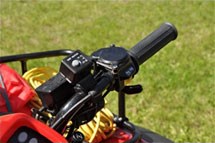 Honda TRX 500 FE Foreman 2011 - Bild 9