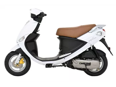 Beeline Papillon 2011 Beeline Papillon 2011