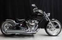 Bigdog Pitbull 2011 - Bild 2