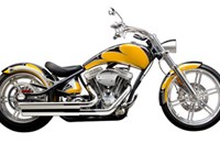 Bigdog Pitbull 2011 - Bild 1