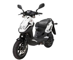 PGO PMS 110 2011