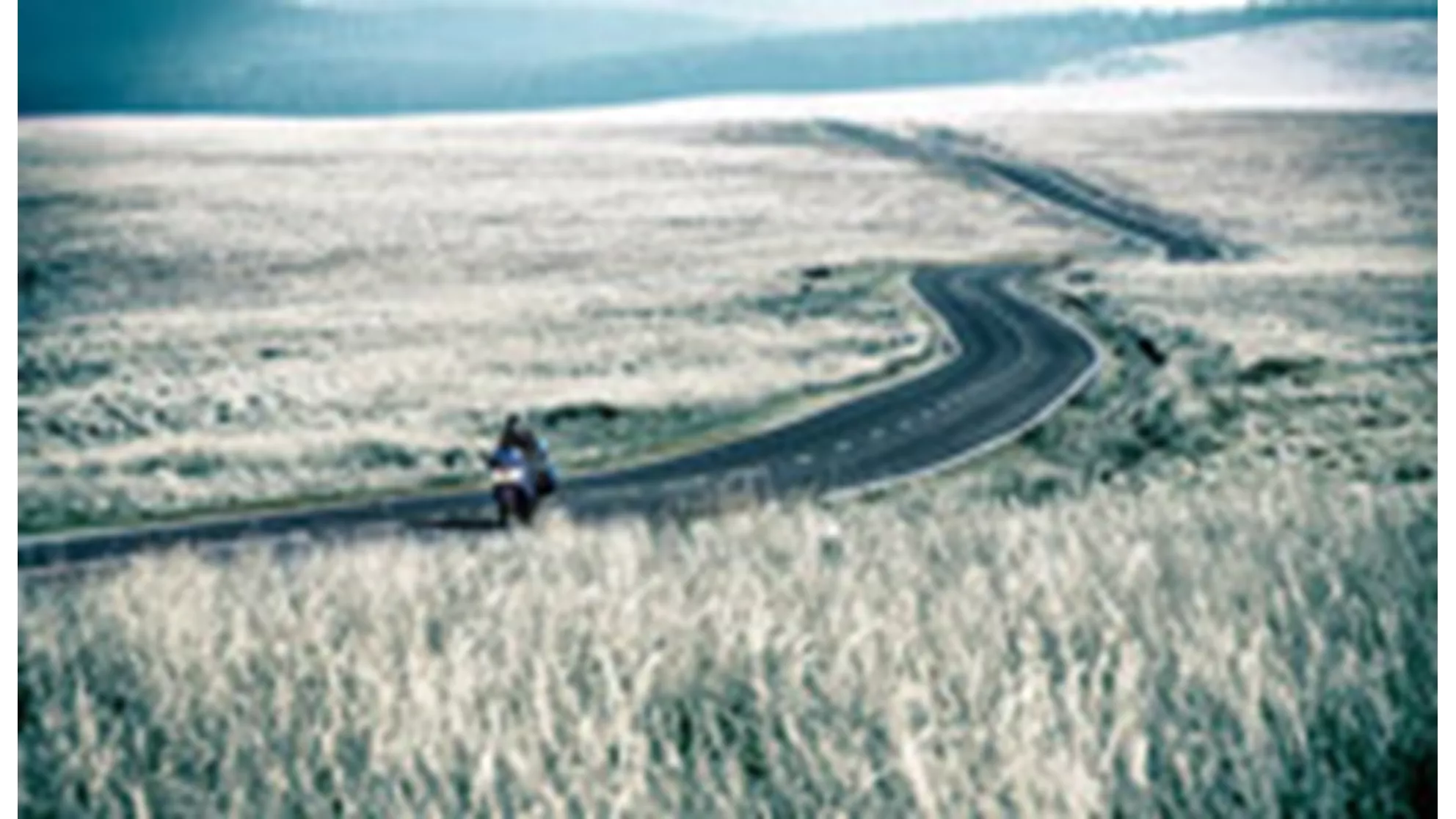 Triumph Sprint GT - Image 1 Triumph Sprint GT - Image 1