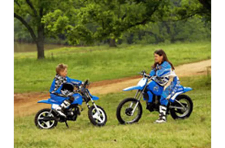 Yamaha PW 80 2011 Yamaha PW 80 2011