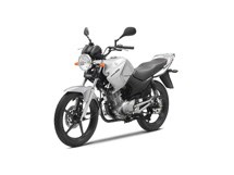 Yamaha YBR 125 2011 - Bild 6 Yamaha YBR 125 2011 - Bild 6