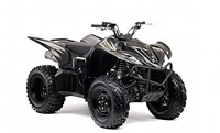 Yamaha Wolverine 450 2011 - Bild 2