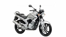 Yamaha YBR 250 2011 - Bild 2