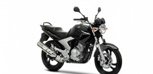 Yamaha YBR 250 2011 vs Yamaha YBR 125 2011