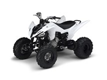 Yamaha YFM 250R 2011 - Bild 2