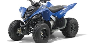 Triton Baja 250 2011 vs Yamaha YFM 90 2011