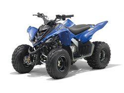 Yamaha YFM 90 2011