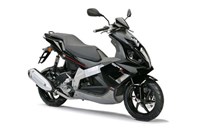 Derbi GP1 Racing 250 2011 - Bild 1