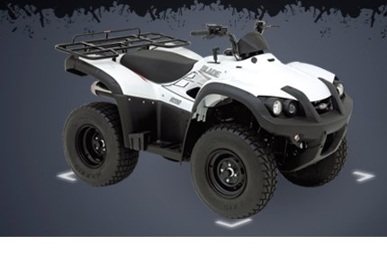 TGB Blade 325 4x2 2011