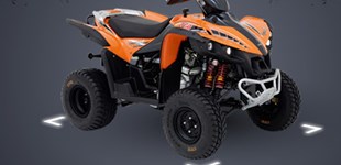 Explorer Ranger EVO 300 2009 vs TGB Target 325 4x2 2011 Explorer Ranger EVO 300 2009 vs TGB Target 325 4x2 2011