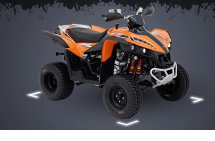 TGB Target 325 4x2 2011 TGB Target 325 4x2 2011