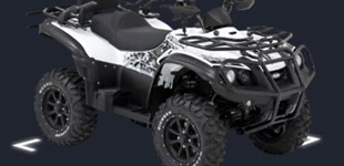 Goes G 625i 2014 vs TGB Blade 550 LT 4x4 IRS 2011