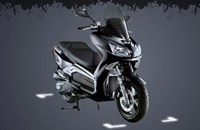 TGB X-Large 300 2011 - Bild 1