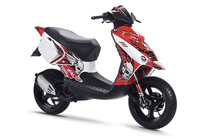 Beta Ark AC Skull 2011