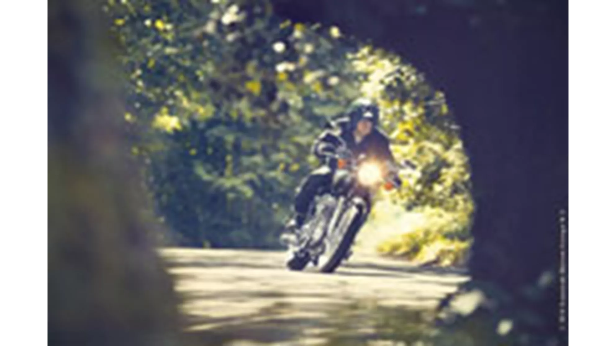 Kawasaki W800 - Image 4 Kawasaki W800 - Image 4