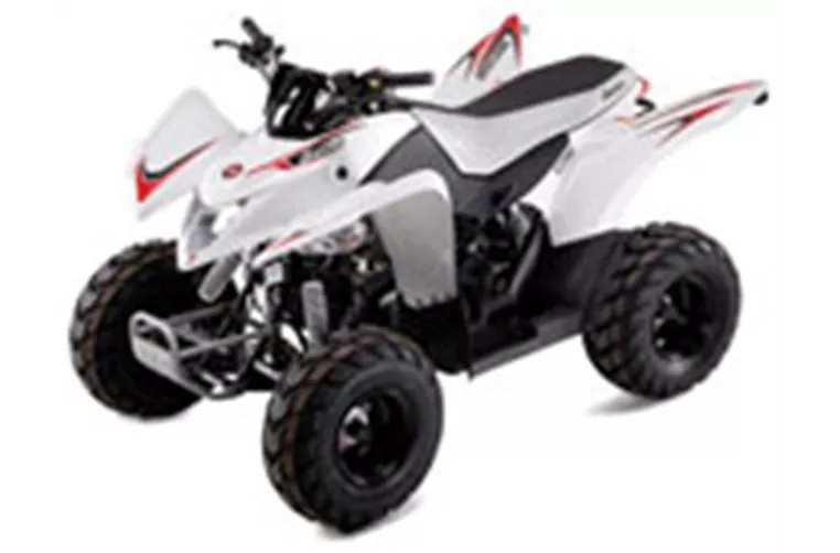 Aeon Cobra 50 2011 Aeon Cobra 50 2011