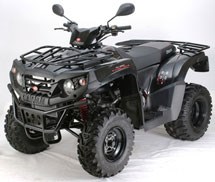 Aeon Crossland RX 350 2011 - Bild 2