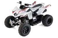 Aeon Cobra 350 2011 - Bild 2