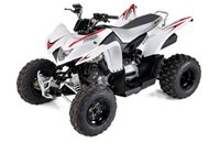 Aeon Cobra 350 2011 - Bild 1